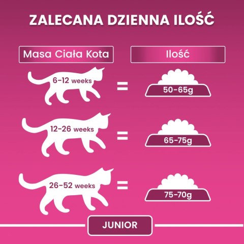 Purina One Junior Karma Z Kurczakiem Dla Kociąt 800g