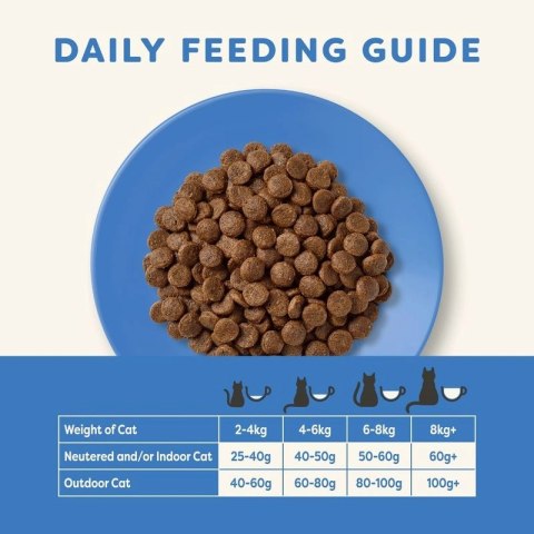 APPLAWS Complete Dry Adult Ocean Fish With Salmon 1,8kg