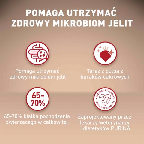 PURINA ONE Mini Active Kurczak, ryż - sucha karma dla psa - 800g