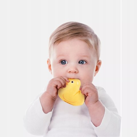 Zestaw Montessori 7w1 Farma Sensoryczna Domek Wiatrak 6-12 m+ dla dzieci