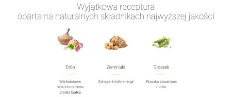 Josera Kitten Grainfree 400g