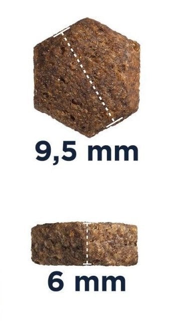 Eukanuba Puppy&Junior Medium Breed 15kg