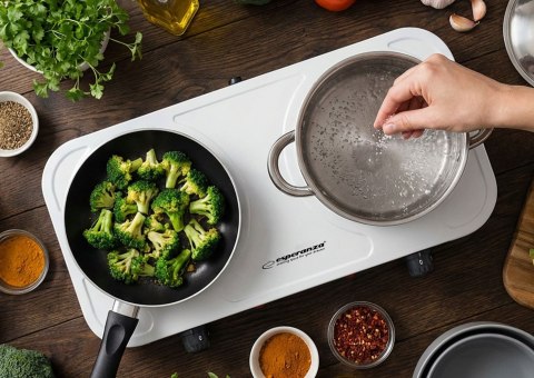 EKH010W Esperanza kuchenka elektryczna cotopaxi biała