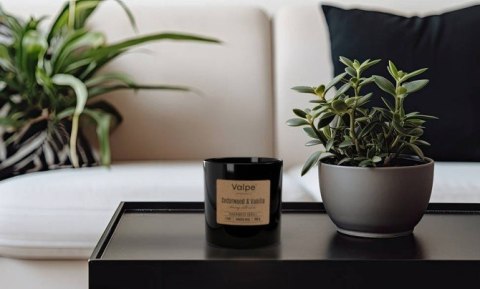 VALPE Świeca Zapachowa Z Drewnianym Knotem DRZEWO CEDROWE - WANILIA 190g sn82-095-81