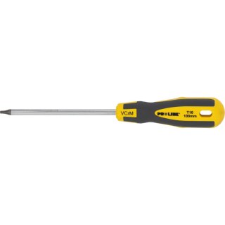 Wkrętak torx z otworem t40*100mm prof.'s-t' proline zawie