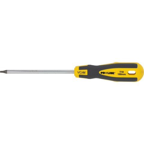 Wkrętak torx z otworem t40*100mm prof.'s-t' proline zawie