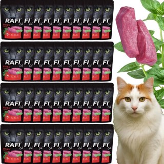 RAFI Karma Mokra Pasztet Dla Kota z Cielęciną 100g x 40 szt.