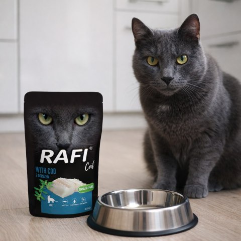 RAFI Karma Mokra Pasztet Dla Kota z Dorszem 100g x 40 szt.