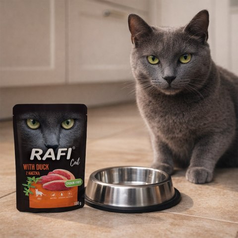 RAFI Karma Mokra Pasztet Dla Kota z Kaczką 100g x 40 szt.