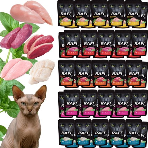 Zestaw RAFI Karma Mokra Pasztet Dla Kotów MIX Smaków 100g x 50 szt.