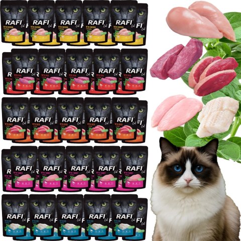 Zestaw RAFI Karma Mokra Pasztet Dla Kotów MIX Smaków 100g x 50 szt.