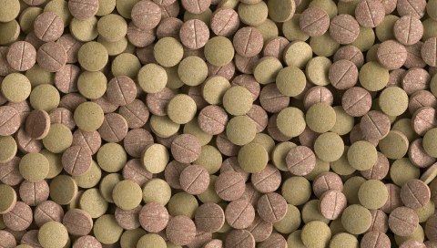 Tetra Tablets TabiMin XL 133 Tabletki