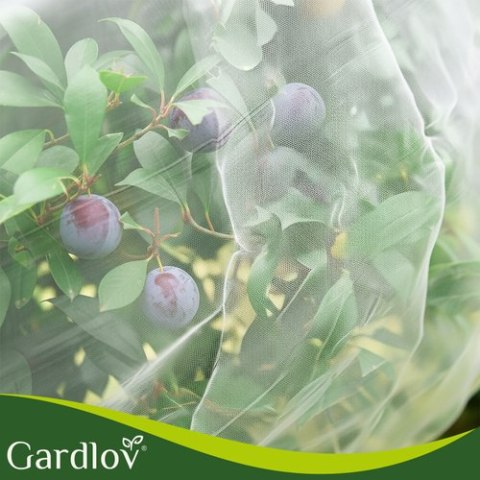 Siatka ochronna na grządkę 3x6m Gardlov