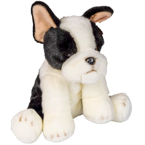 Pies Boston Terrier 30cm SmilyPlay 84404BS 34739
