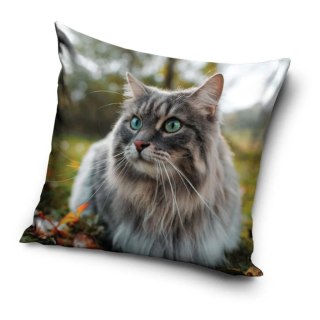 Poszewka velvet 40x40 Kot (231191)