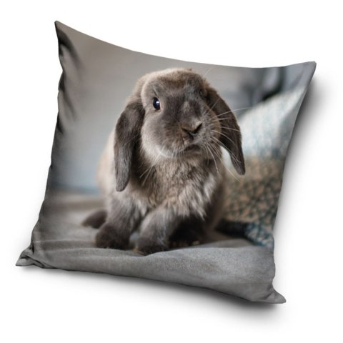 Poszewka velvet 40x40 Królik (235048)