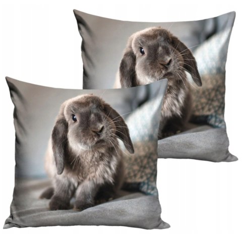 Poszewka velvet 40x40 Królik (235048)