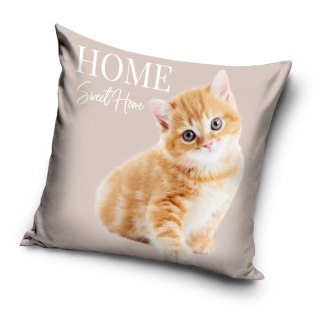Poszewka velvet 40x40 sweet home kotek