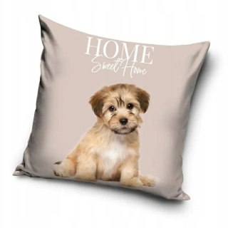 Poszewka velvet 40x40 sweet home piesek