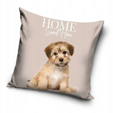 Poszewka velvet 40x40 sweet home piesek