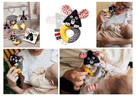 1677 GRZECHOTKA KONTRASTOWA MOUSE