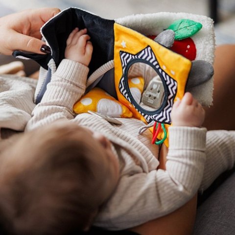 1679 KSIĄŻECZKA KONTRASTOWA MOUSE