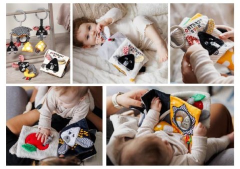 1679 KSIĄŻECZKA KONTRASTOWA MOUSE