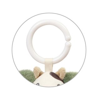 1691 ZAWIESZKA COW BINGO