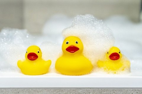 Kaczuszki do kąpieli 3szt/nie nab.wody 515 75153