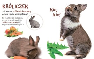 Pogłaszcz Domowe zwierzątko 11170