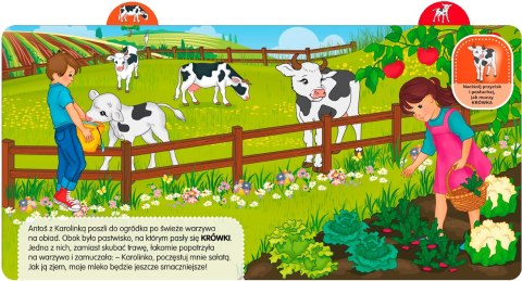 Odkrywam dźwięki Zwierzęta 58.11.13 62512