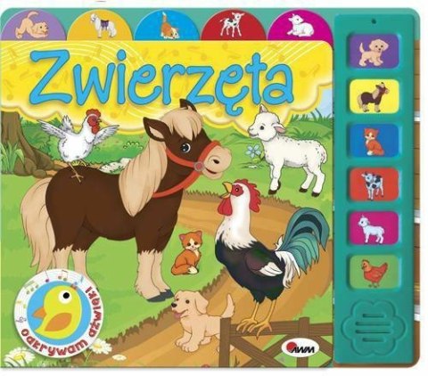 Odkrywam dźwięki Zwierzęta 58.11.13 62512