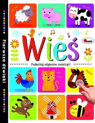 Wieś pierwsze dźwięki 58.11.13 11668