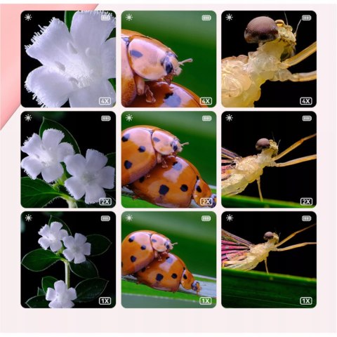 Przenośny ręczny mikroskop elektroniczny dla dzieci 500x 2'' aparat 355R