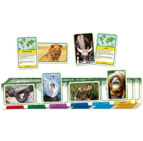 Quizy świata: Zwierzęta świata 56423