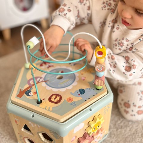 TOOKY TOY Interaktywny Drewniany Sześciokąt Montessori Otwierane Pudełko