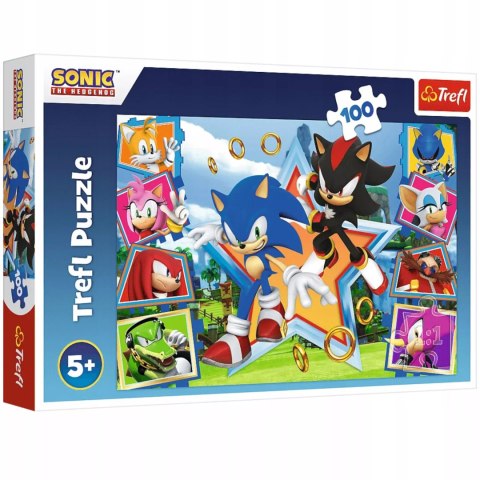 Puzzle Sonic 100 elementów Poznaj Sonica Trefl 16465