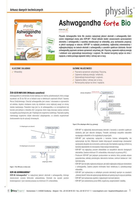 ASHWAGANDHA EKSTRAKT BIO (600 mg) FORTE 30 TABLETEK - PHYSALIS