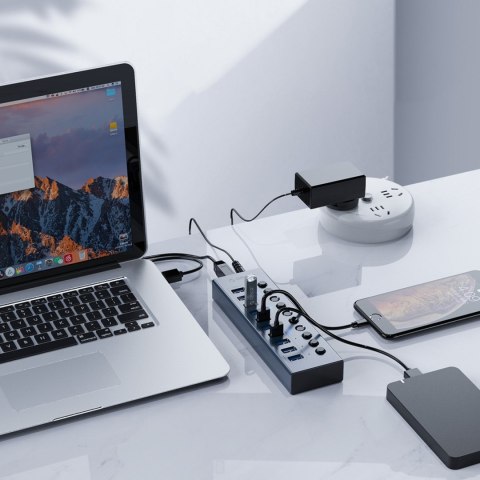 Hub BT2U3-13AB z włącznikami 13x USB-A - szary