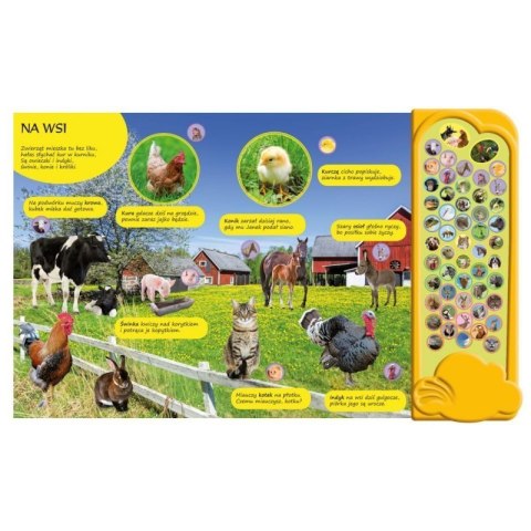 50 dźwięk. zwierzęta wokół nas