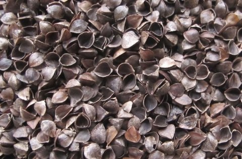 MATERAC GRYKA-PIANKA-KOKOS LUXE 120×60 (11CM) ALOE VERA