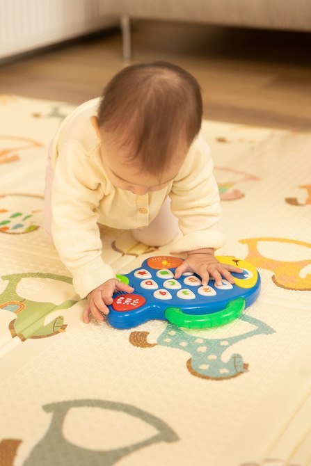 ZABAWKA EDUKACYJNA - MUZYCZNA RYBKA