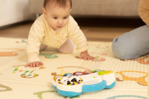 ZABAWKA EDUKACYJNA - PIANINKO FARMA