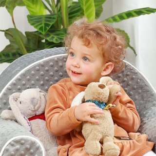 1521 PRZYTULANKA DOG WILLY