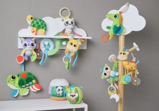 167494 ŻÓŁW SZELEŚCIK