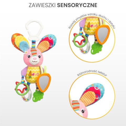 COLORFUL GRZECHOTKA PODRÓŻNA KRÓLIK