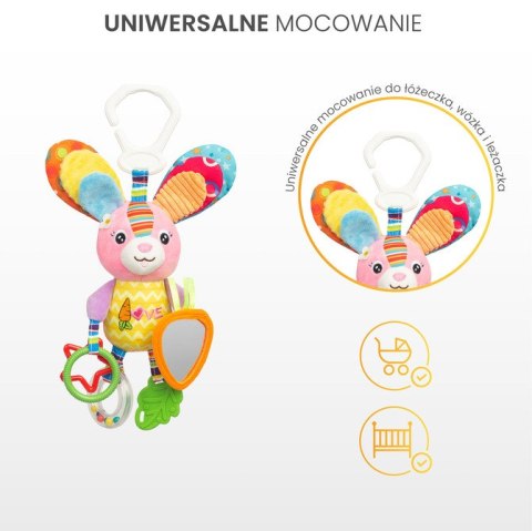 COLORFUL GRZECHOTKA PODRÓŻNA KRÓLIK