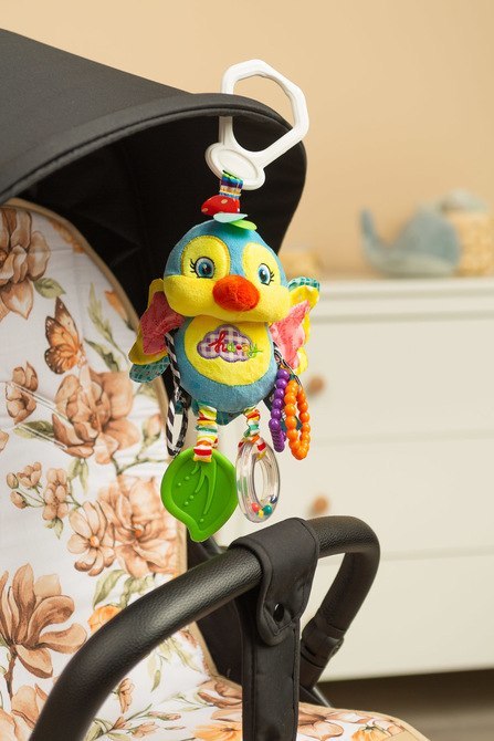 COLORFUL GRZECHOTKA PODRÓŻNA PTASZEK