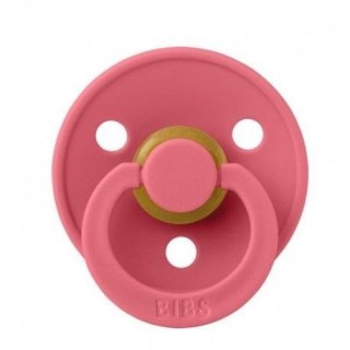 211262 SMOCZEK CORAL M ANATOMICZNY