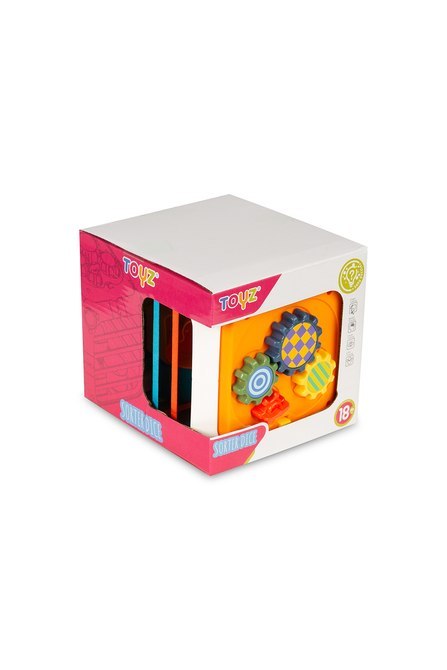 ZABAWKA EDUKACYJNA - KOSTKA SORTER